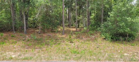 Land, Citrus Springs, FL