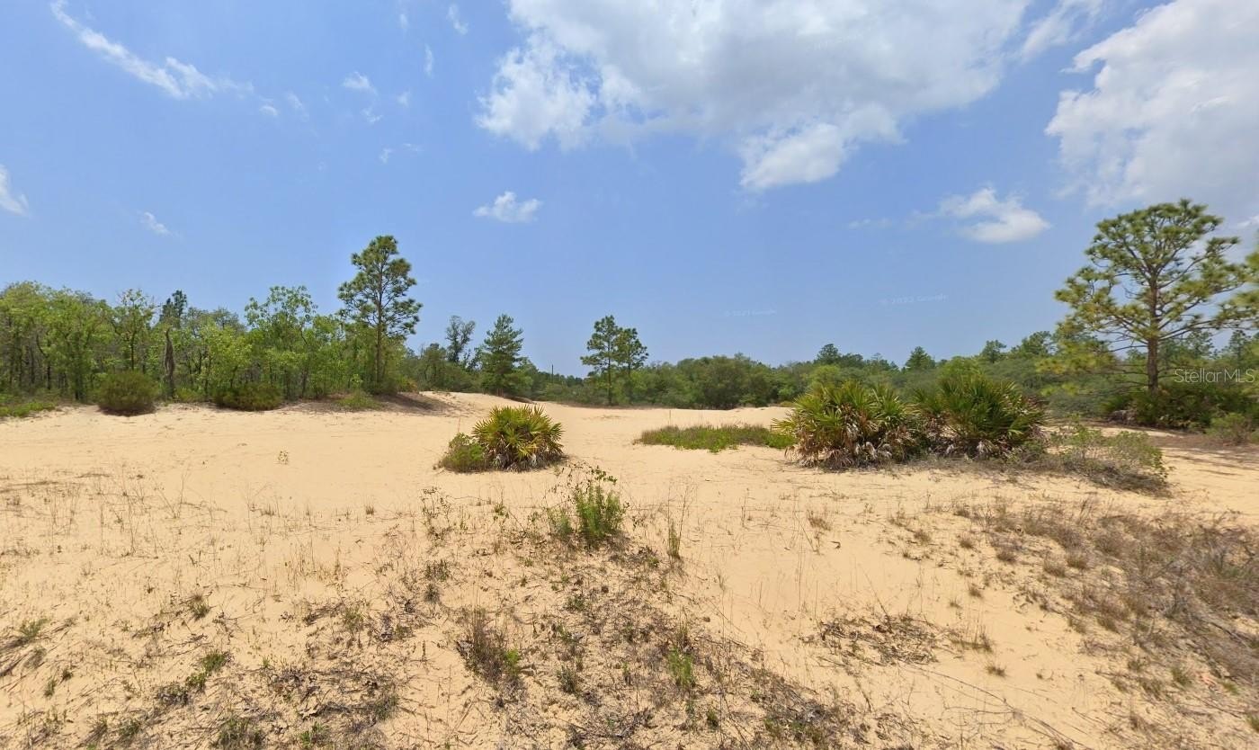 Cleared Lot Ready to Build
