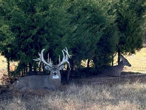 920 Acres in Central Oklahoma