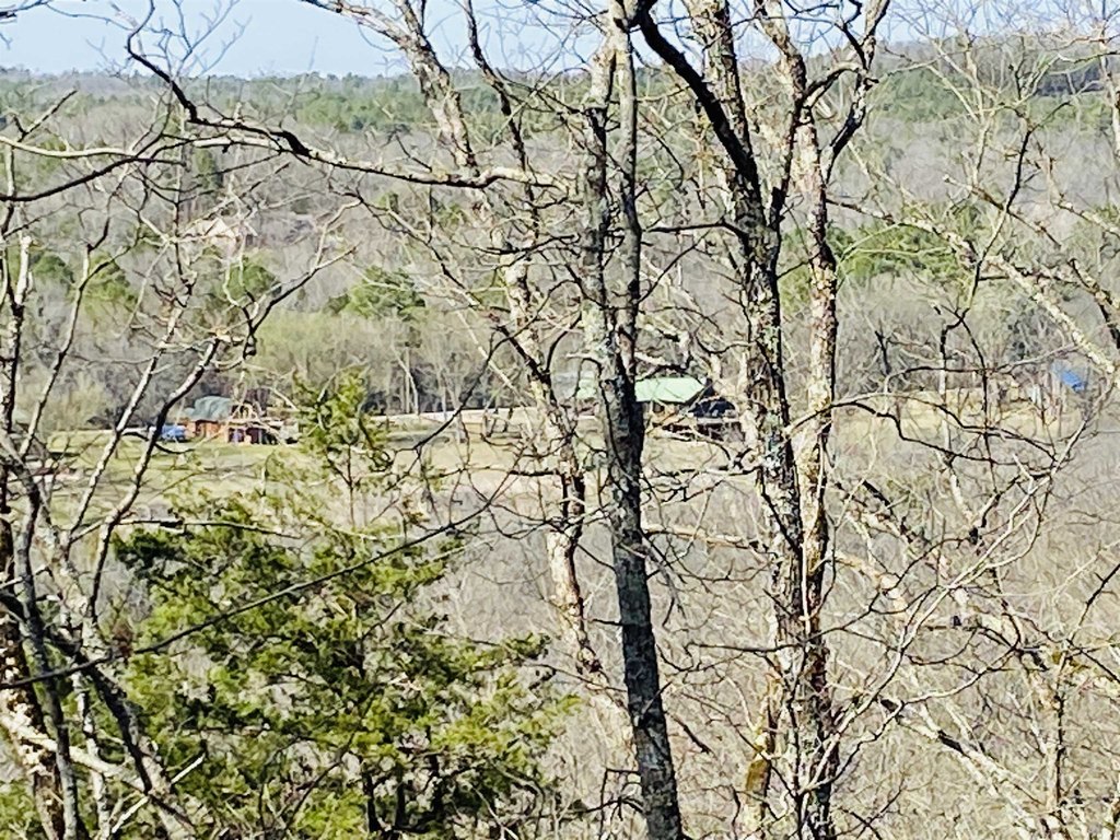 Picture 12