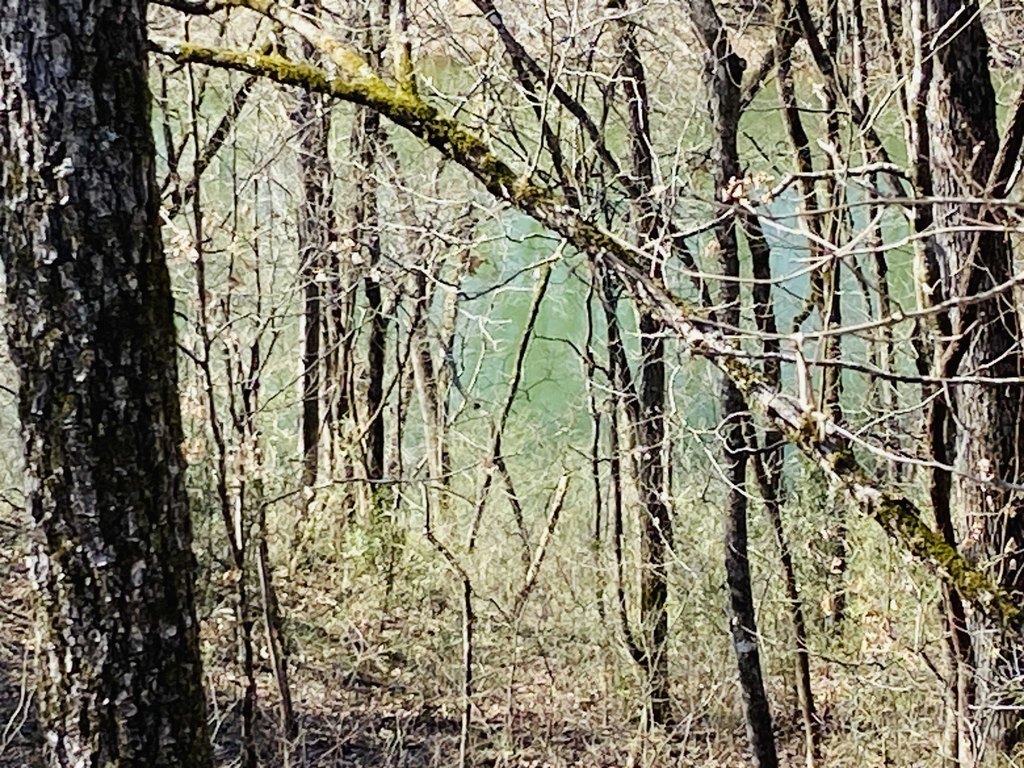 Picture 18