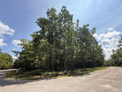 Land, Gaylord, MI
