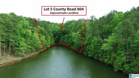 Lake Wedowee Waterfront Land