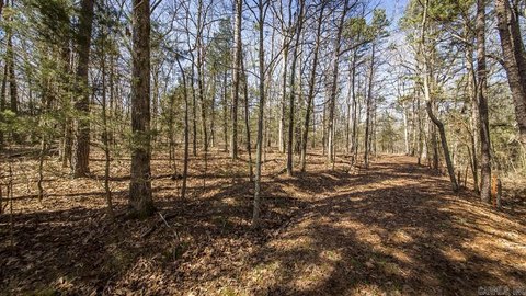 Greers Ferry Lake Unrestricted Land