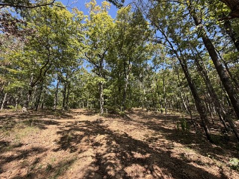 Land, West Fork, AR
