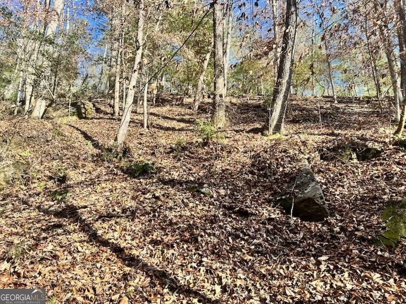 Land For Sale in Cleveland
