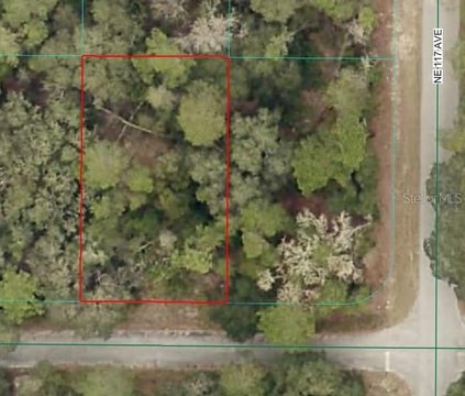 Land Near Ocala National Forest