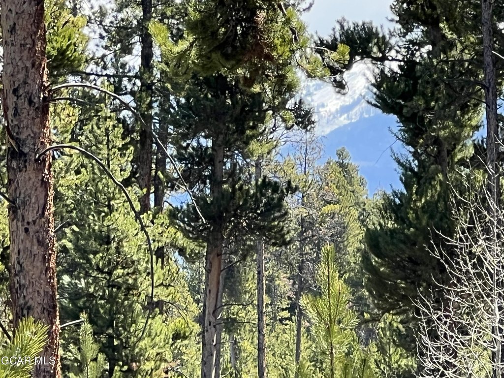 Picture 21