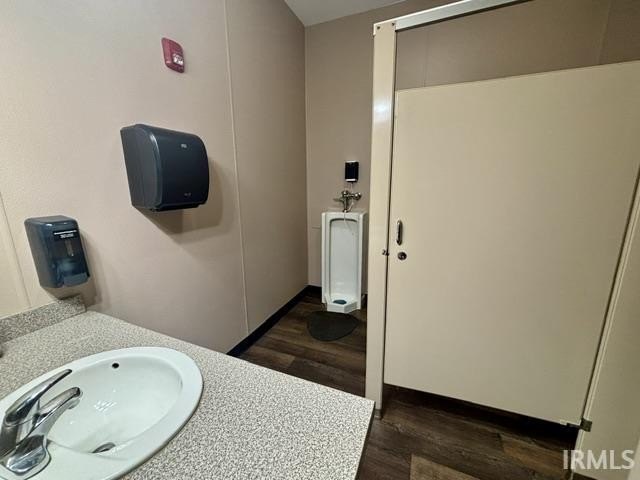 Picture 38