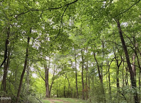 LAND - Newport, TN