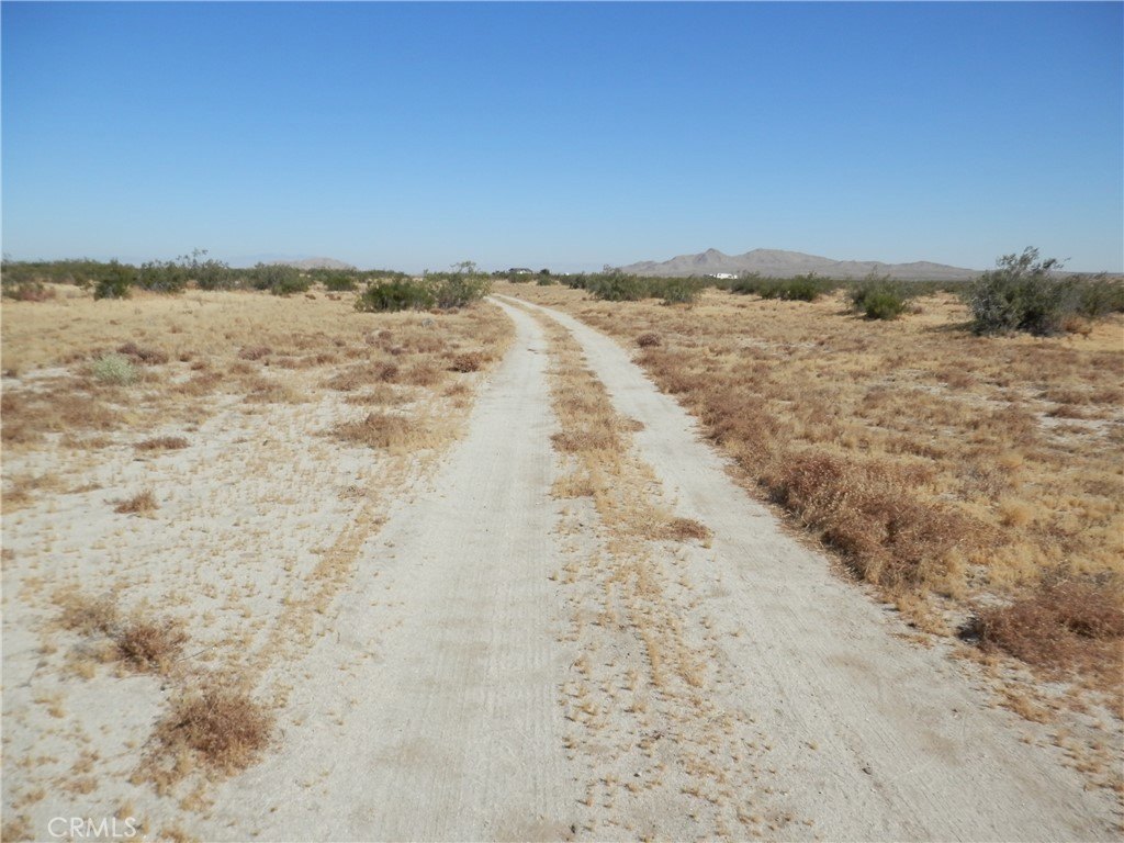 Picture 6