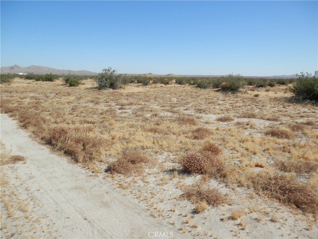 Picture 9