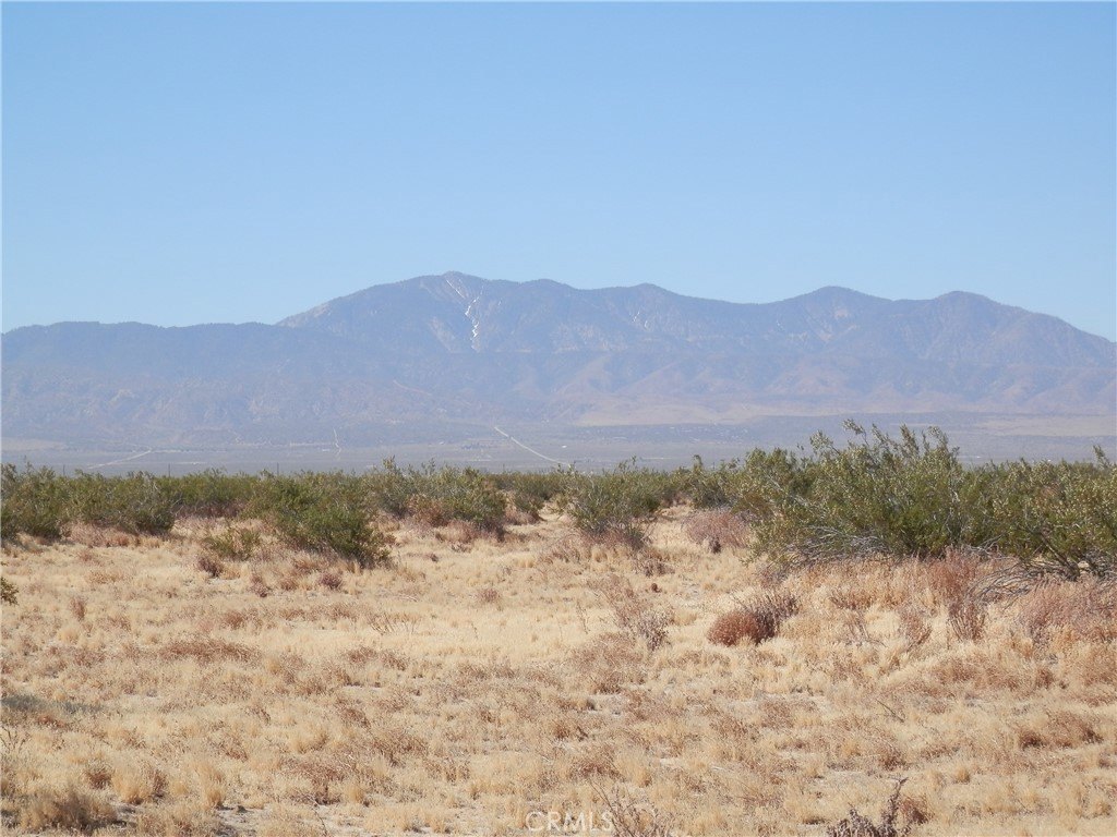 Picture 4