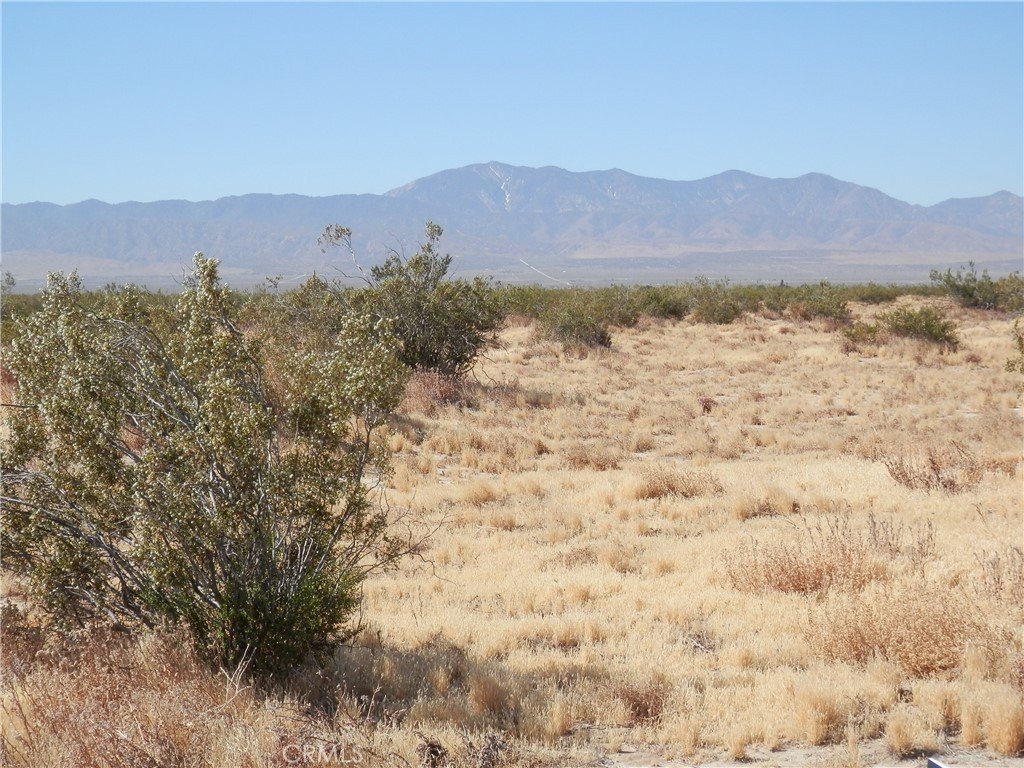 Picture 11