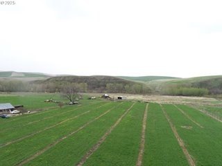 24+ Acre Buildable Farmland