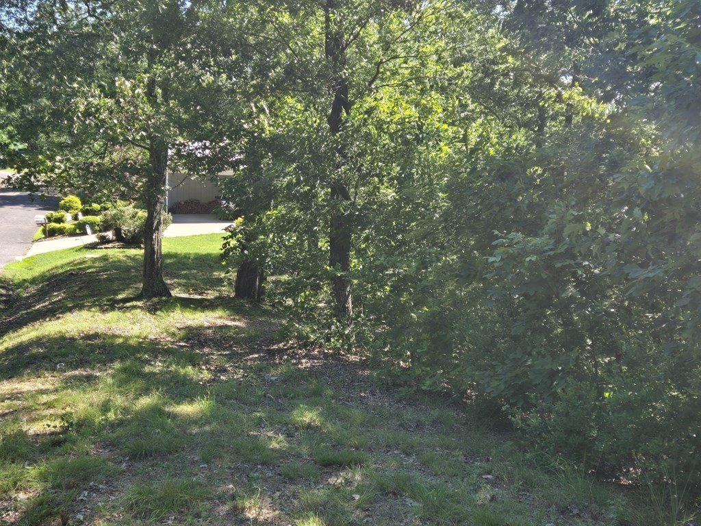 Picture 6