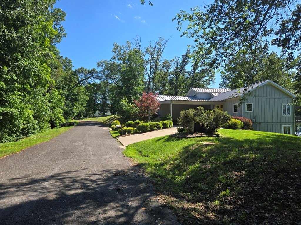Picture 5