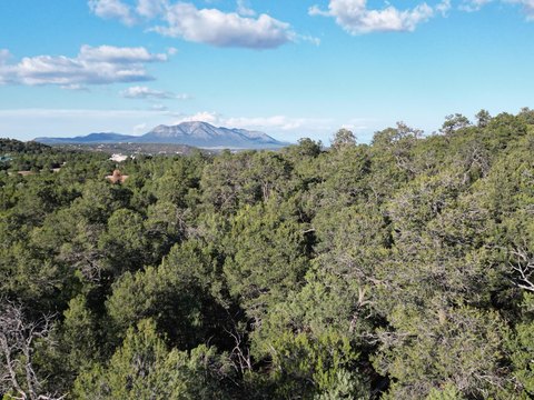 Land, Tijeras, NM