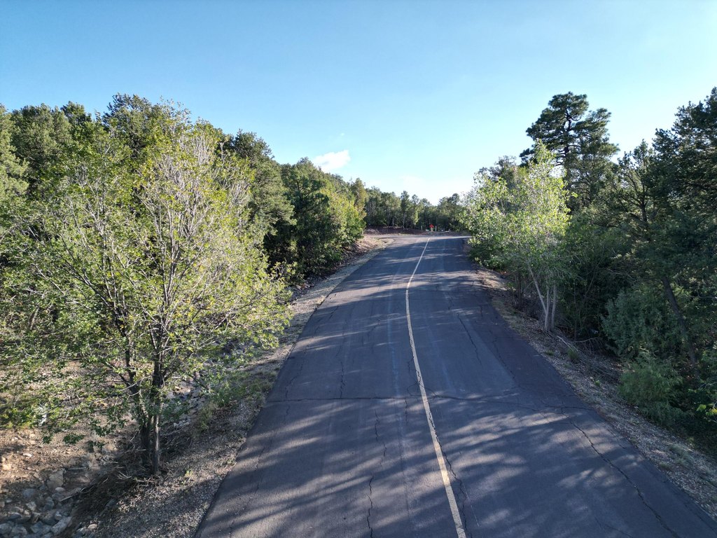Picture 17