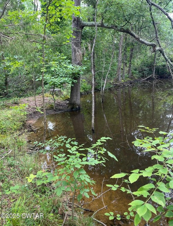 Picture 18