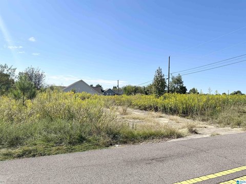 LAND/LOTS, PLEASANT GROVE, AL
