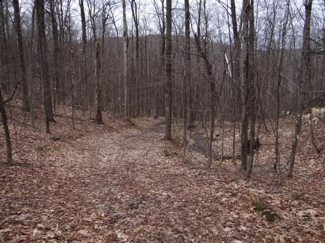 Picture 19
