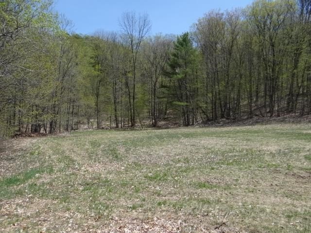Picture 6