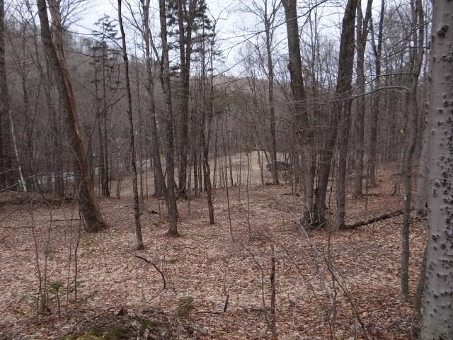 Picture 7