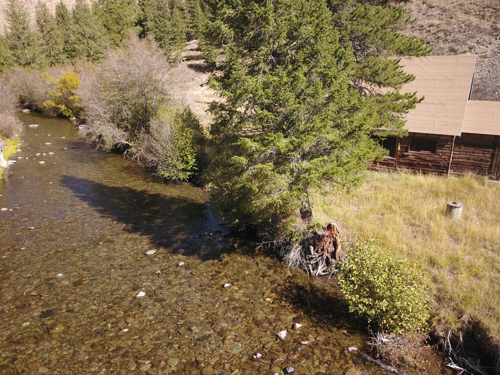 Picture 8