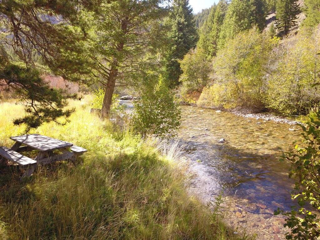 Picture 5