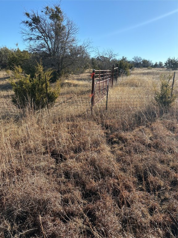 Picture 3