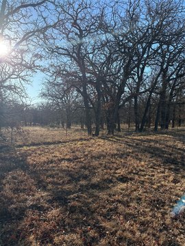 LAND - Other - Hico, TX