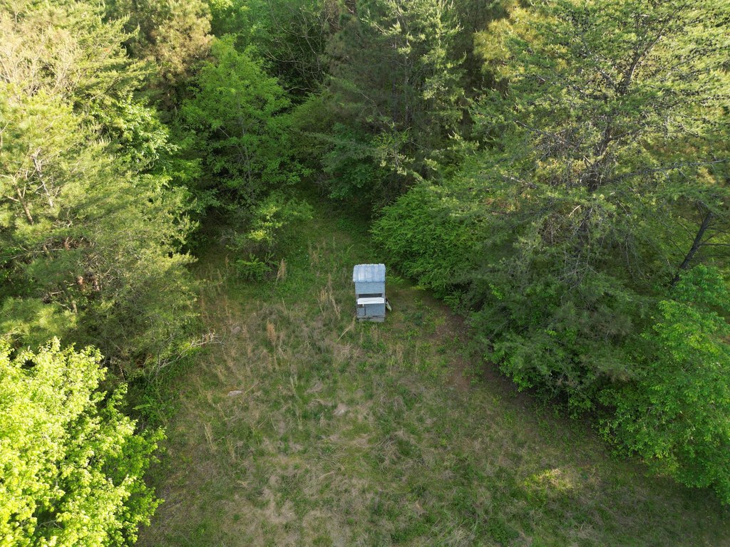 Picture 12