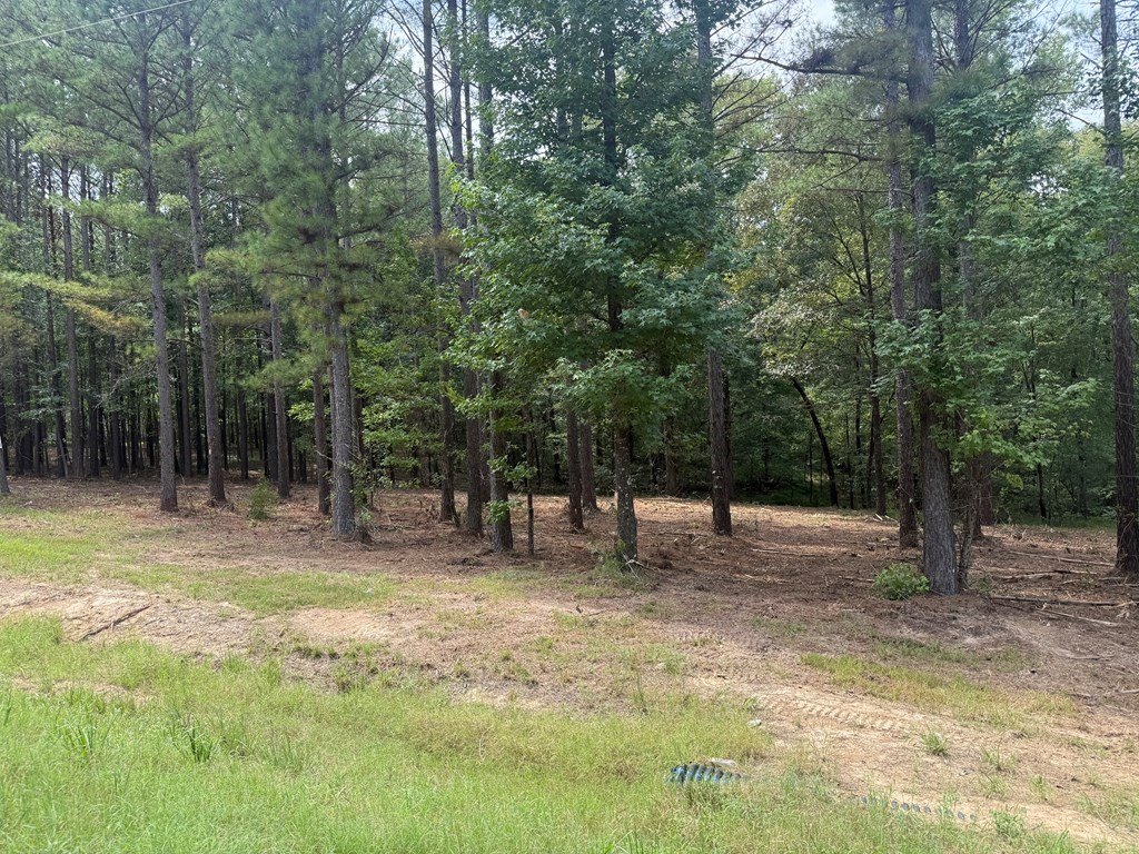 Picture 9