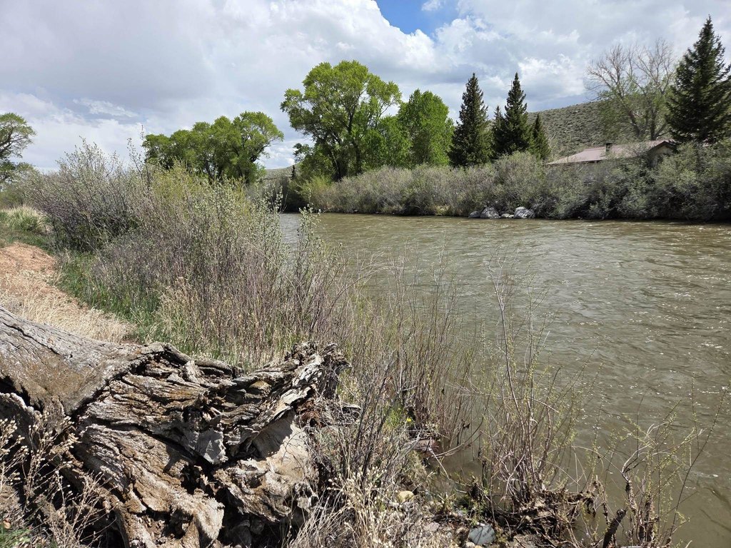 Picture 32