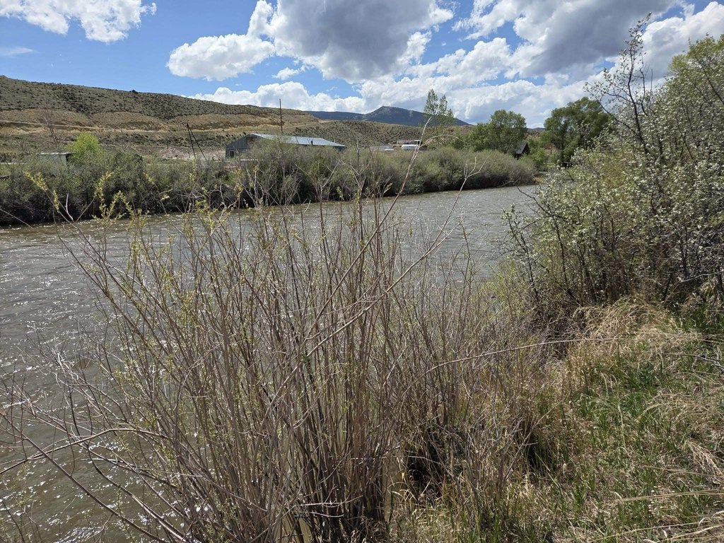 Picture 29