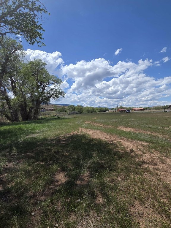 Picture 28