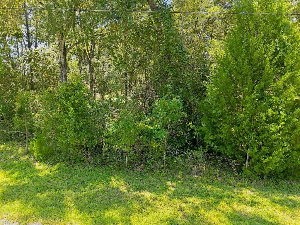 Picture 14