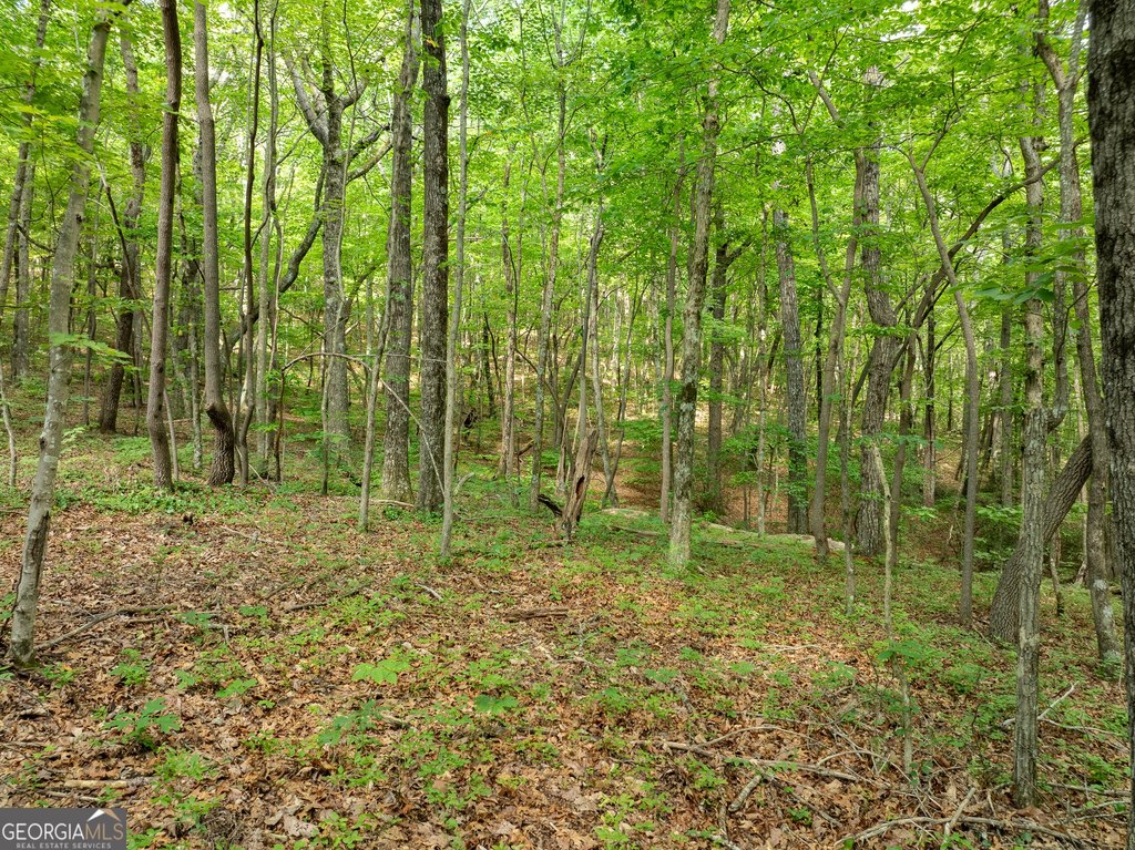 Picture 36