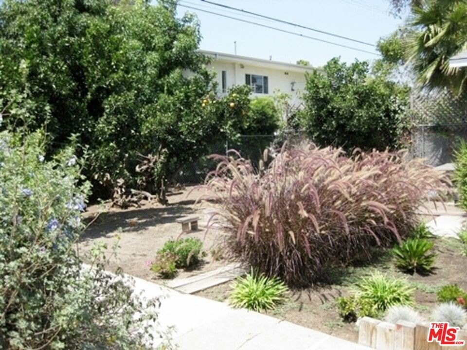 Picture 19