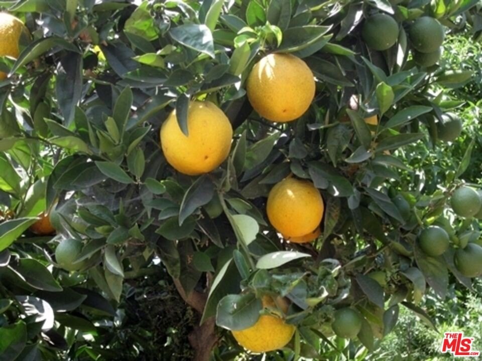 Picture 22