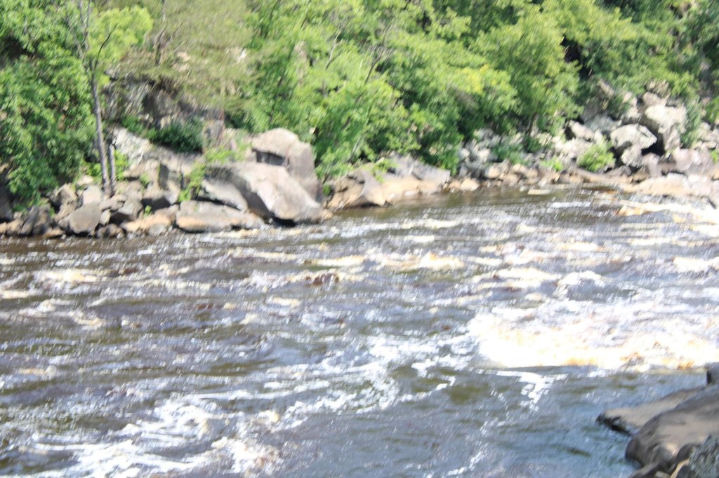 Picture 12