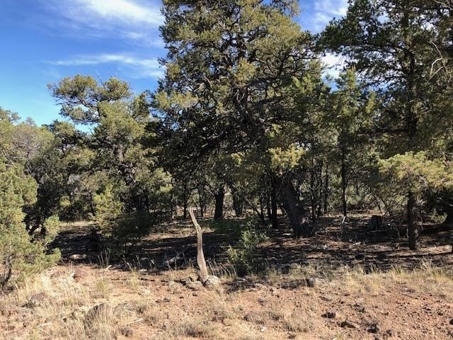 Rio Grande Ranchos Land