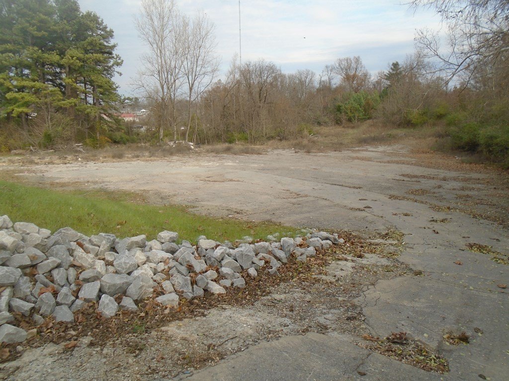 Picture 10
