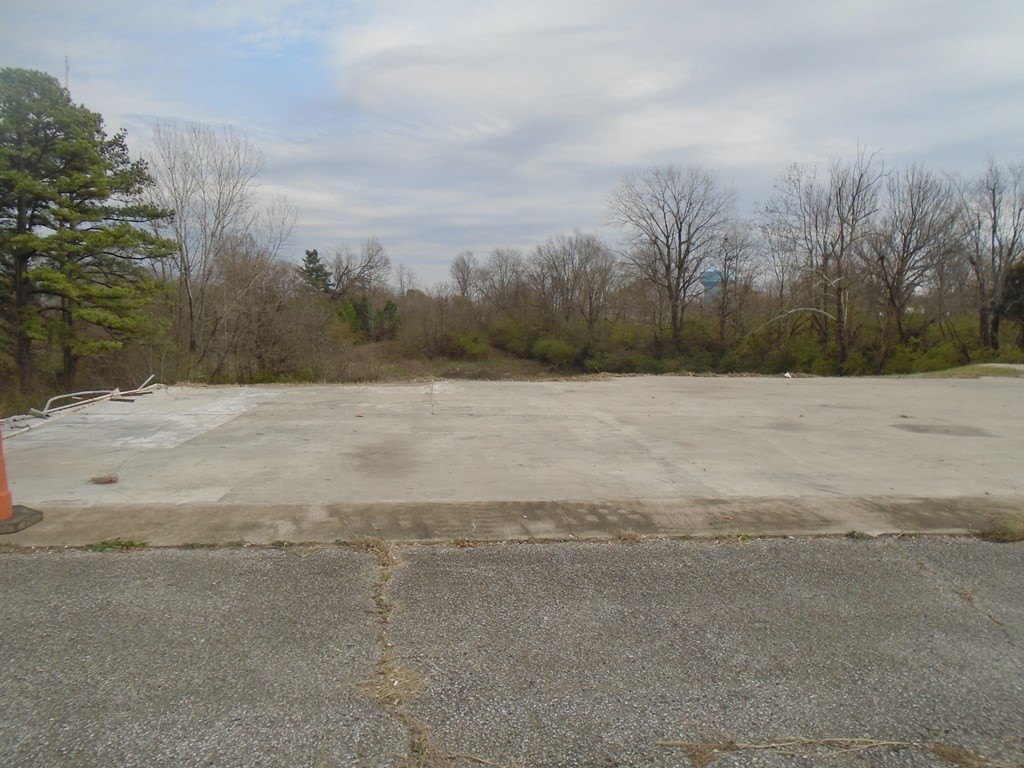 Picture 6