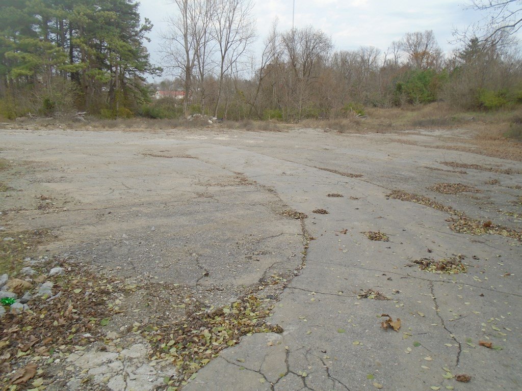 Picture 11
