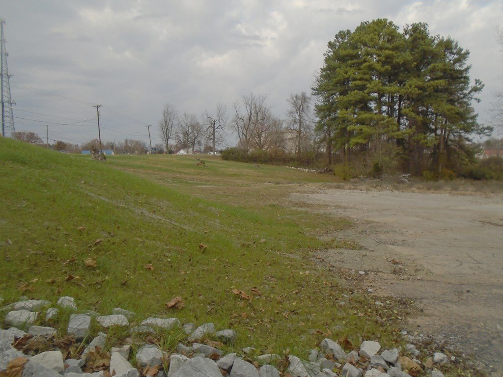 Picture 13