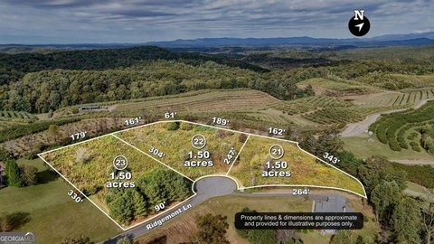 Residential Land in Ellijay, GA
