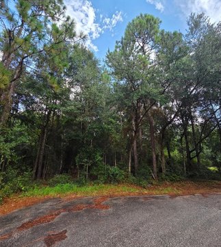 Land, Milton, FL