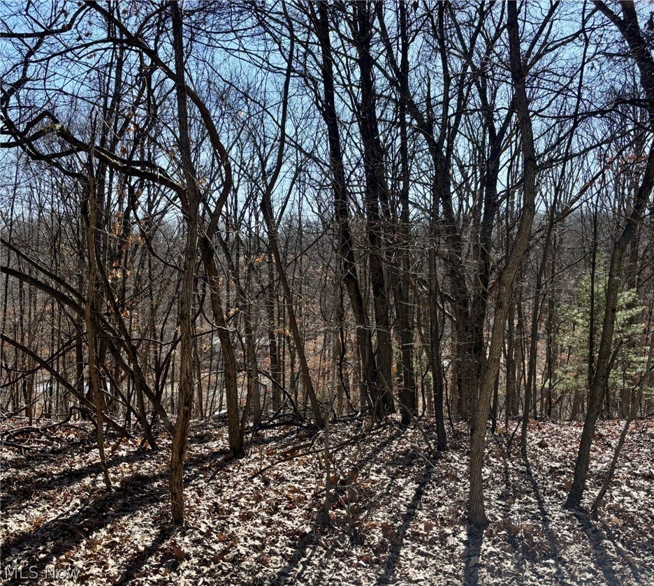 Land Near Lake Tomahawk